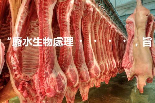 “廢水生物處理，旨在凈化水源，守護(hù)碧水藍(lán)天”